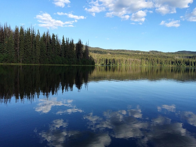 Photo le reflet des arbres dans un lac calme