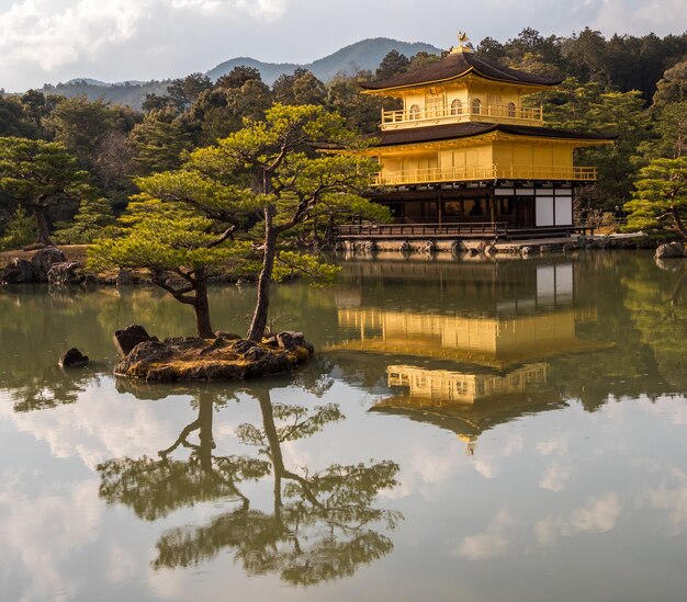 Le reflet des arbres dans le lac contre le ciel nuageux