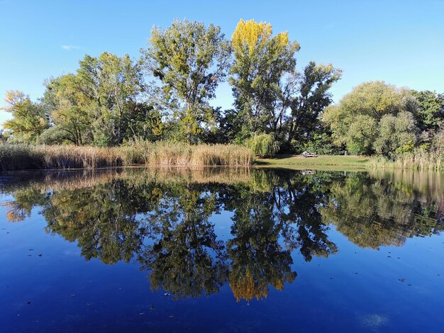 Photo le reflet des arbres dans le lac contre le ciel