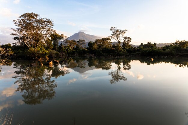 Photo le reflet des arbres dans le lac contre le ciel