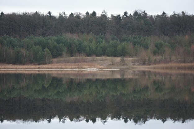 Le reflet des arbres dans le lac contre le ciel