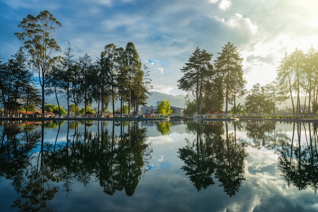 Reflet des arbres dans le lac