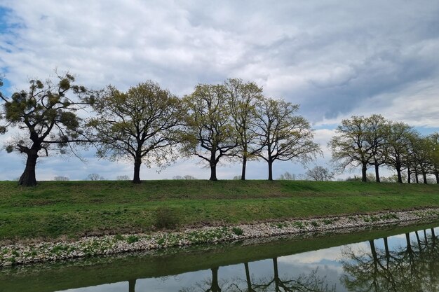 Le reflet des arbres dans la rivière ou le lac le fond de la nature