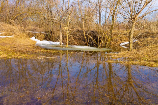 Reflet des arbres et du ciel dans l'eau