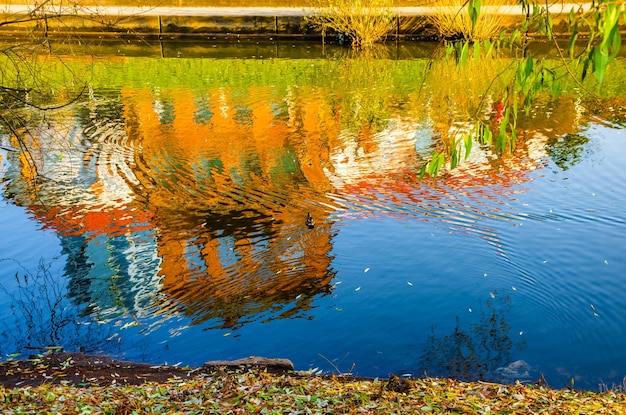 Photo un reflet d'un bâtiment dans un étang