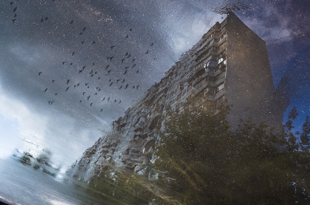 Reflet d'un bâtiment et d'oiseaux volants dans une flaque d'eau sur l'asphalte après une pluie