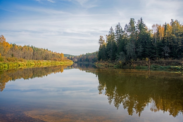 Reflet du lac de la forêt en automne