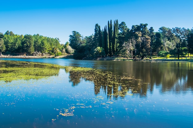 reflet du lac