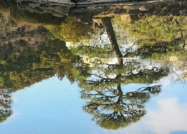 Photo un reflet sur l'eau de bonsaï japonais empilés et fond de ciel.