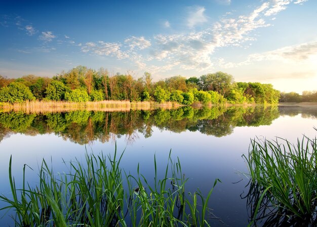 Reflet de forêt dans la rivière au coucher du soleil