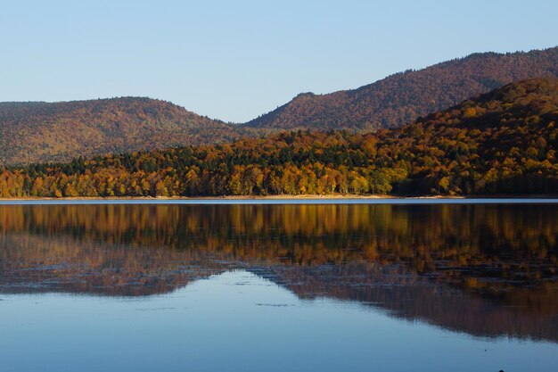 Reflet miroir d'automne dans le lac Pasanauri Géorgie