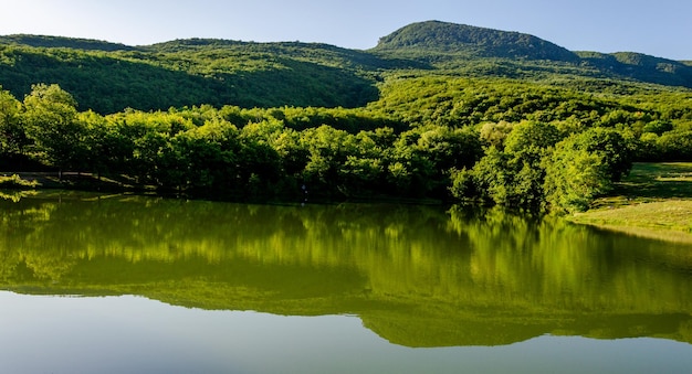 Reflet d'une montagne couverte de forêt dans l'eau du lac.