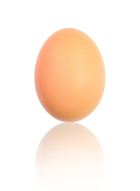 Reflet d&#39;œuf brun sur fond blanc