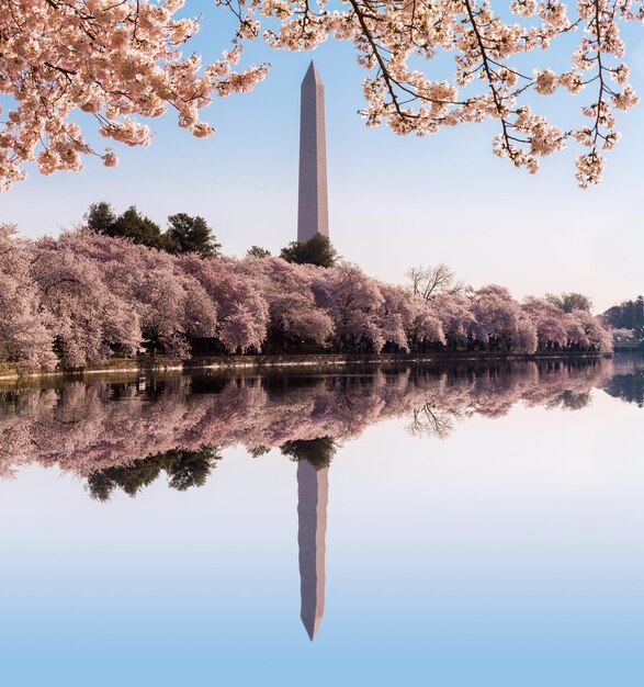 Photo le reflet de washington dc dans le lac