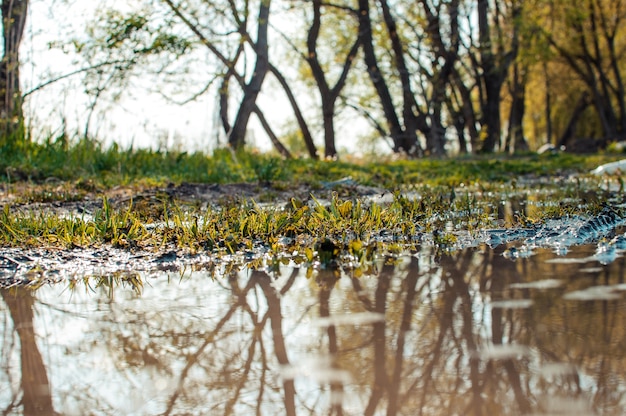 refléter l'eau dans la rue