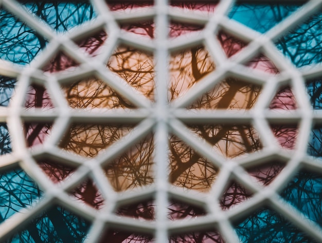 Reflets des arbres dans les verres colorés