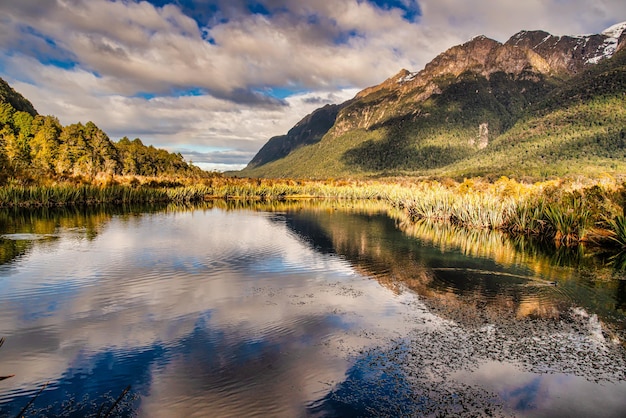 Reflets du lac miroir dans le Fiordland