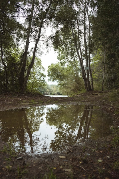 Photo reflets d'une flaque d'eau au milieu du sentier dans la montagne