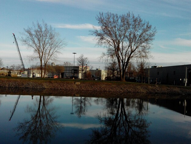 Photo réflexion d'arbres et de bâtiments nus dans le lac