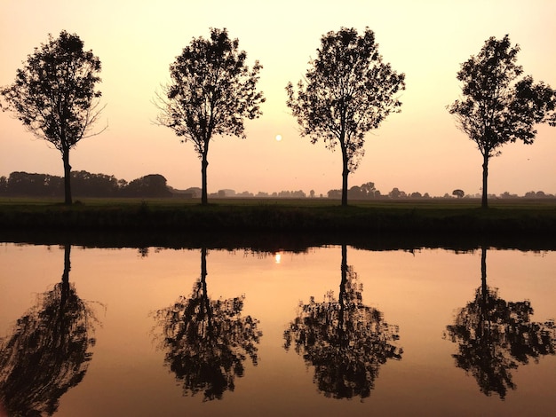 Photo réflexion des arbres dans l'eau au coucher du soleil