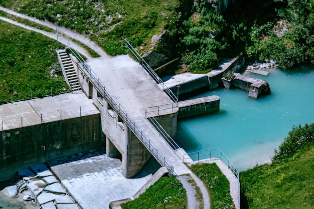 Réflexion des arbres dans l'eau