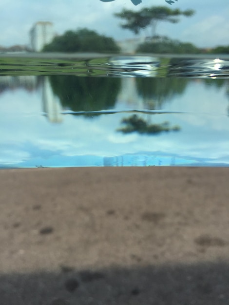 Photo réflexion des arbres dans l'eau