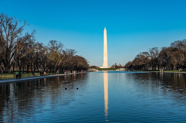 Photo réflexion des arbres dans l'eau