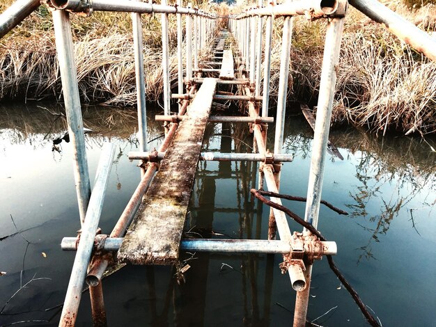 Réflexion des arbres dans l'eau