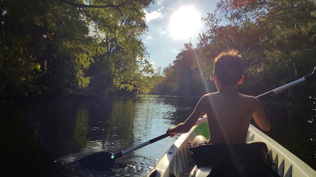 Réflexion des arbres dans l'eau