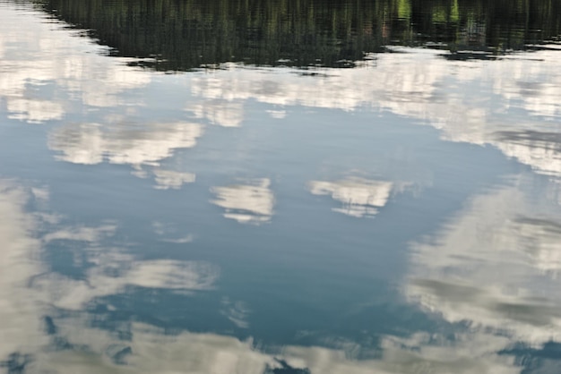 Photo réflexion des arbres dans l'eau