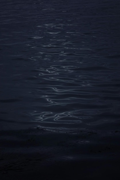 Photo réflexion des arbres dans l'eau