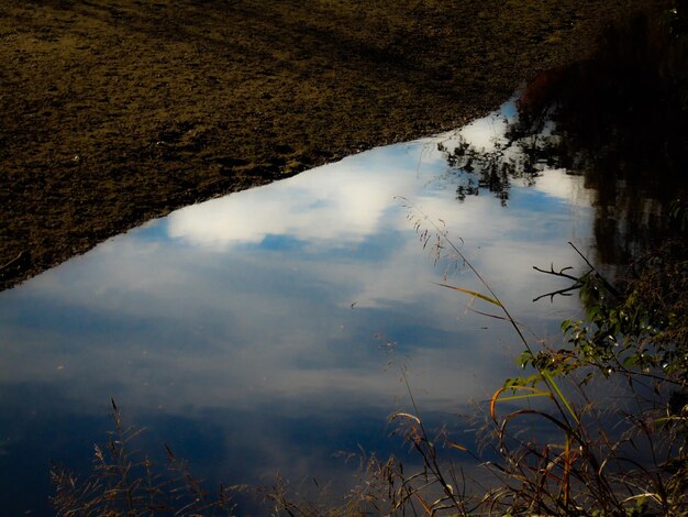 Photo réflexion des arbres dans la flaque