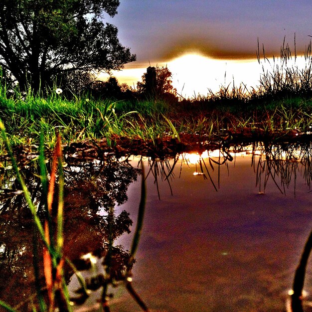 Photo réflexion des arbres dans le lac contre le ciel au coucher du soleil