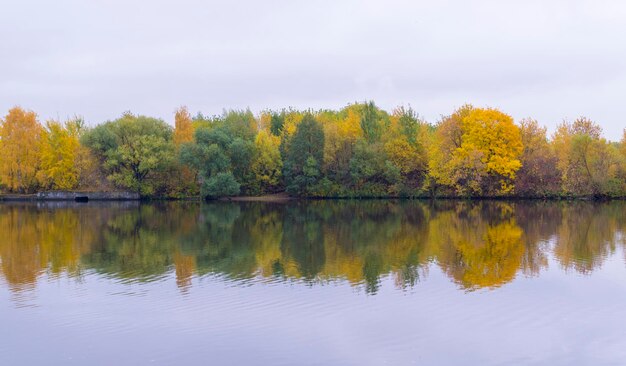 Réflexion des arbres dans le lac contre le ciel en automne