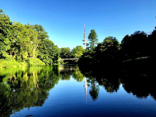 Réflexion des arbres dans le lac