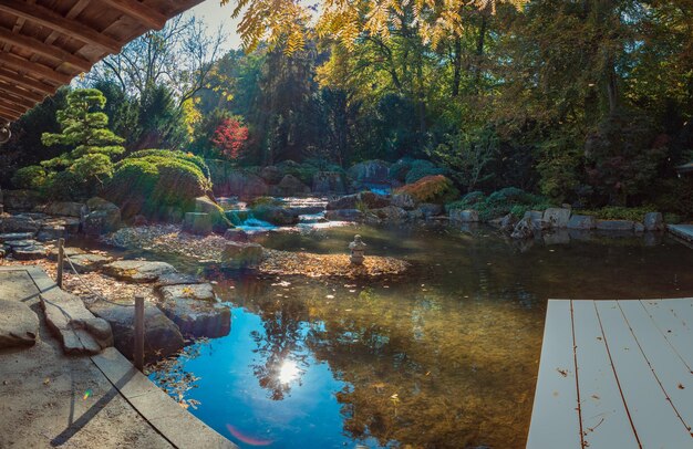 Photo réflexion des arbres dans la piscine