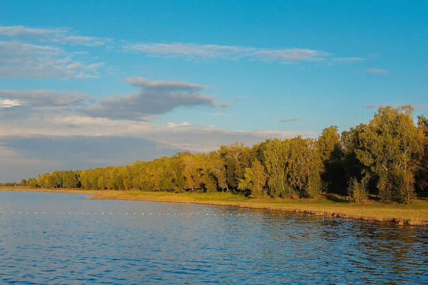 Réflexion de la forêt dans le lac.