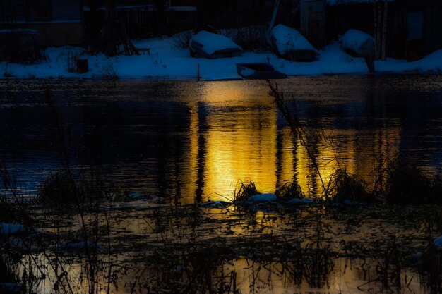 Réflexion des oiseaux dans l'eau en hiver