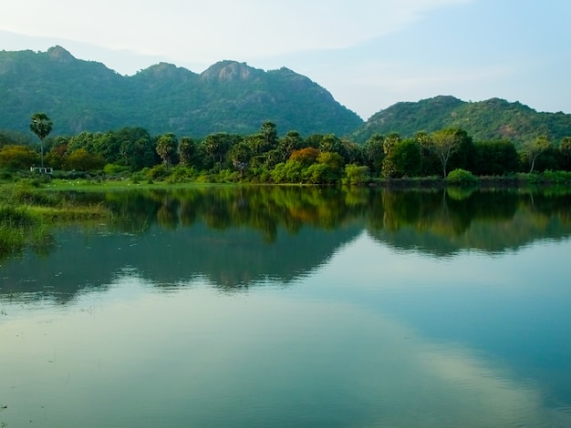 Réflexion pure de la nature dans les Ghâts occidentaux