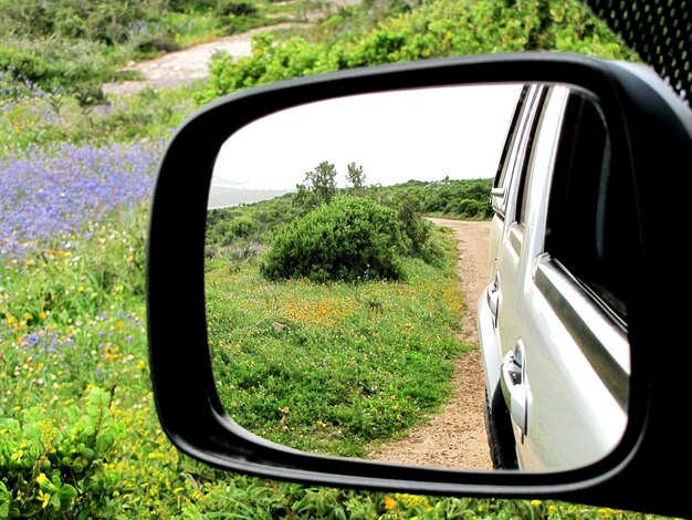 Photo réflexion de la route sur le rétroviseur latéral