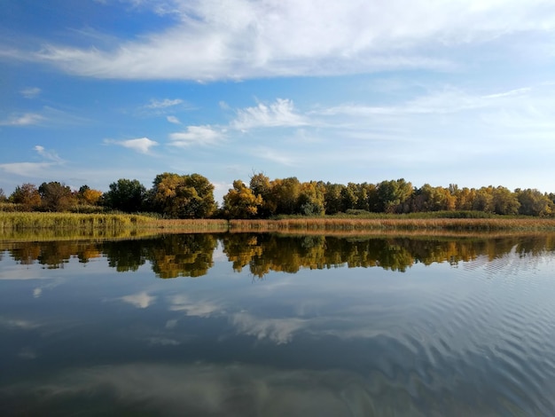 Réflexions d'automne avec des arbres et des nuages