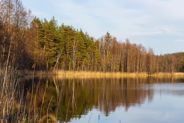 Réflexions dans un lac forestier au début du printemps