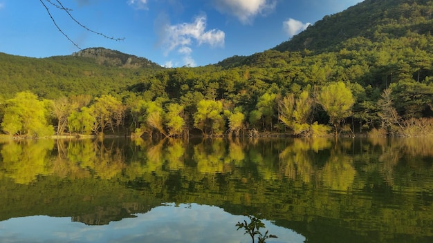 Réflexions de forêt et de montagne sur le paysage étonnant de ciel bleu d'eau de lac