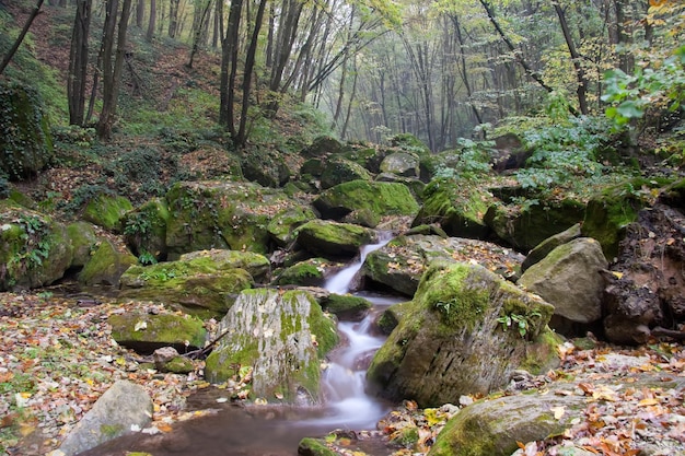 Refroidir l'eau coulant vers le bas