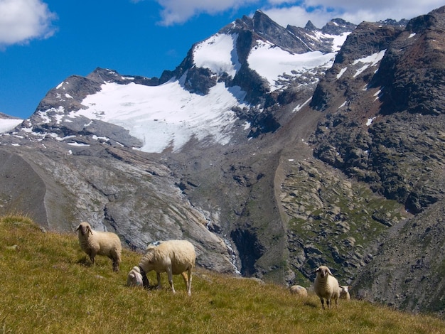 Refuge du carrobonnevalsavoiefrance