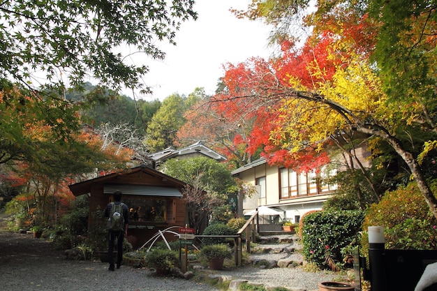 Photo refuge de montagne avec des feuilles d'érable d'automne