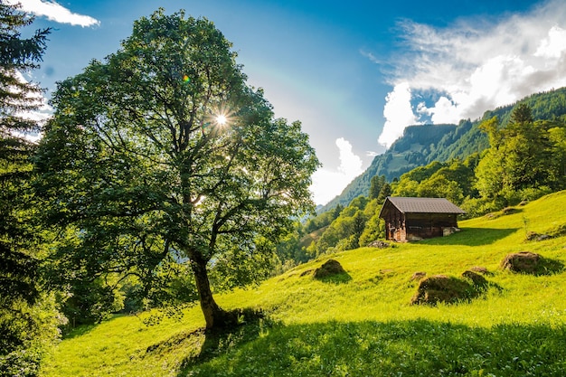 Refuge de montagne à Grindelwald