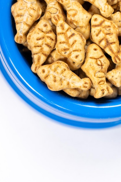 Un régal pour les chats et les chatons est un biscuit d'herbe à chat en forme de poisson dans un bol bleu.