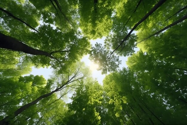 Regardant les cimes vertes des arbres génératifs ai