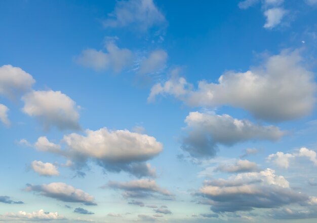 Regardant le fond de ciel bleu et de nuages blancs